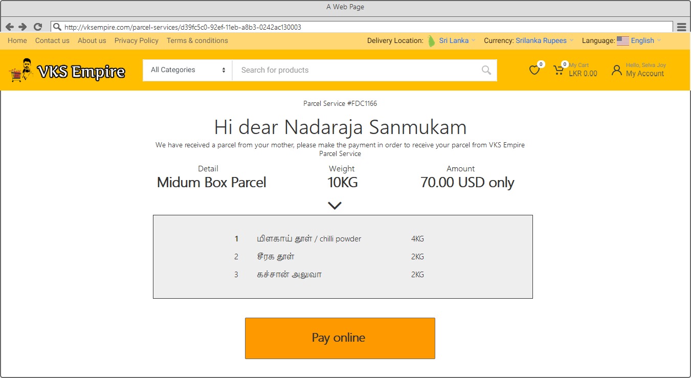 send money to sri lanka mockup 